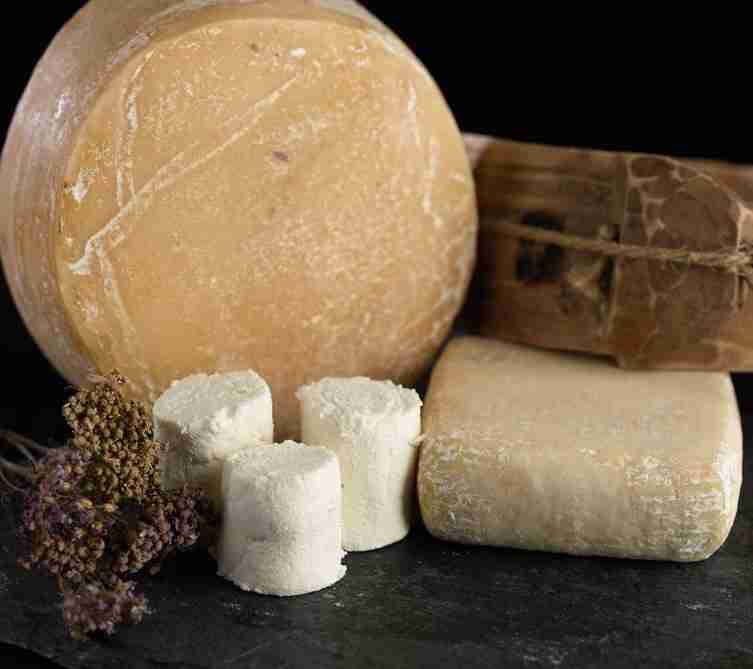 formaggio caprino