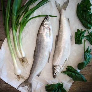 Festa del pescatore 2023